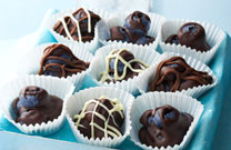 Chocolate Blueberry Bites