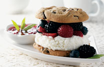Ice Cream Berry Sandwich