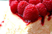 Toasted Coconut & Raspberry Cheesecake