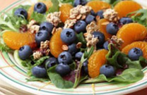 Blueberry Breakfast Salad