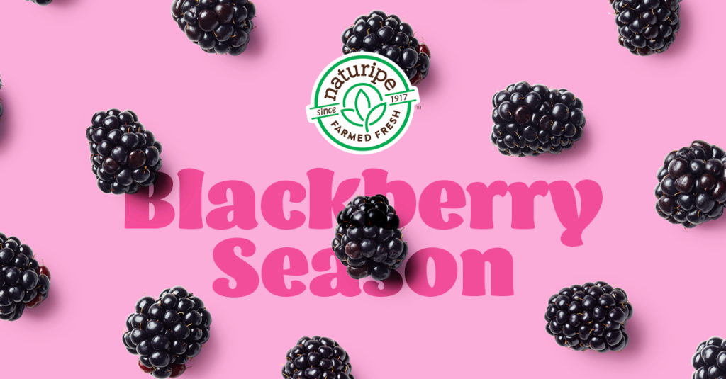 blackberry season