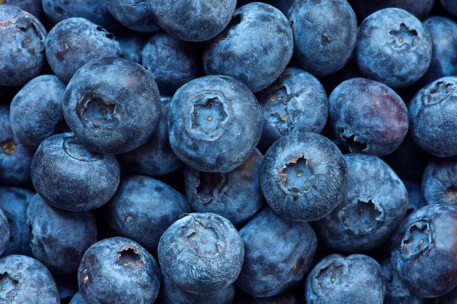 closeup of blueberries