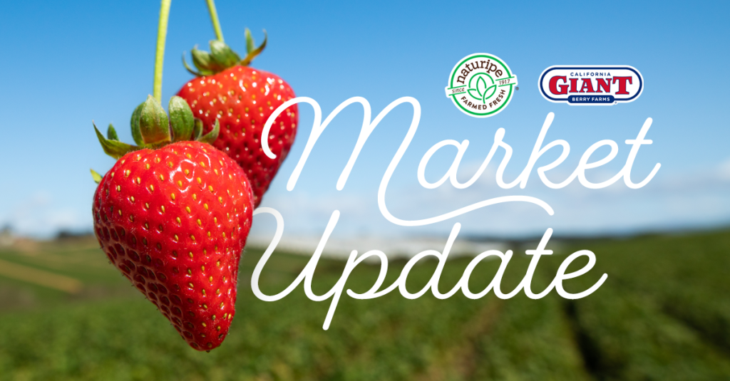 Naturipe market update graphic with strawberries