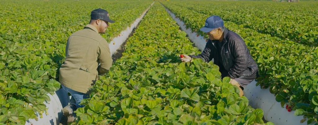 farmers in field