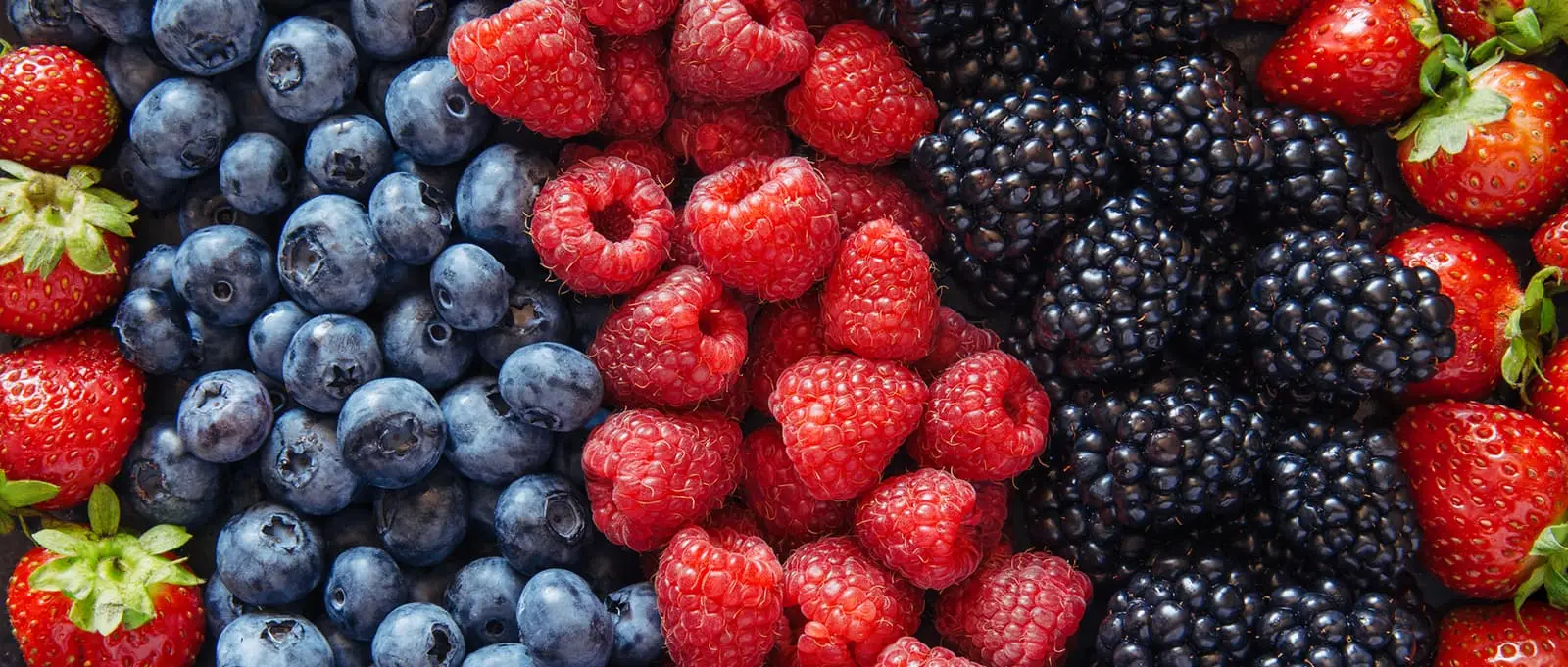 Naturipe Farms