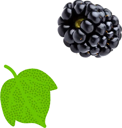 blackberry