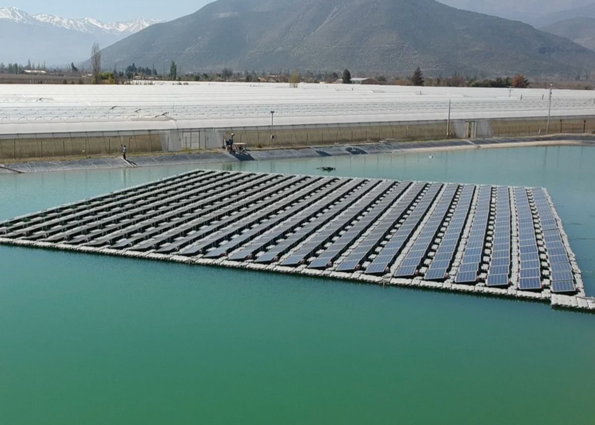 This Earth Day, Naturipe Farms celebrates those who drive sustainability