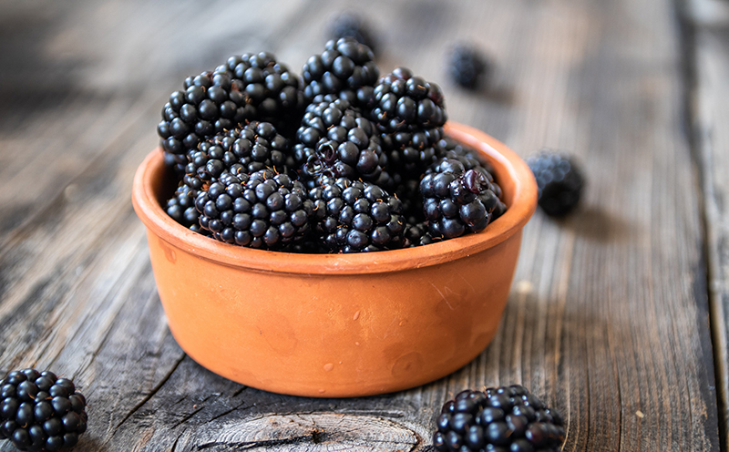 Blackberries in a bowl on a picnic table