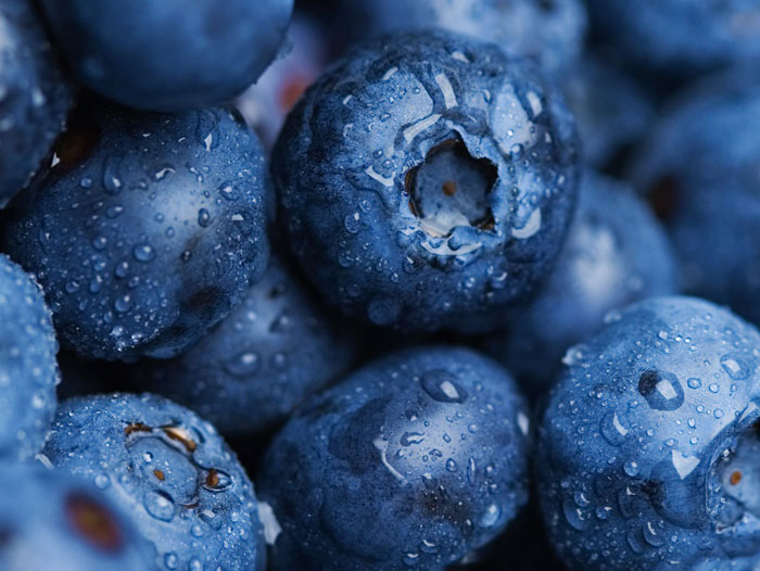 Up close picture of blueberries