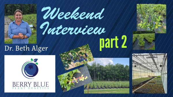 Weekend Interview