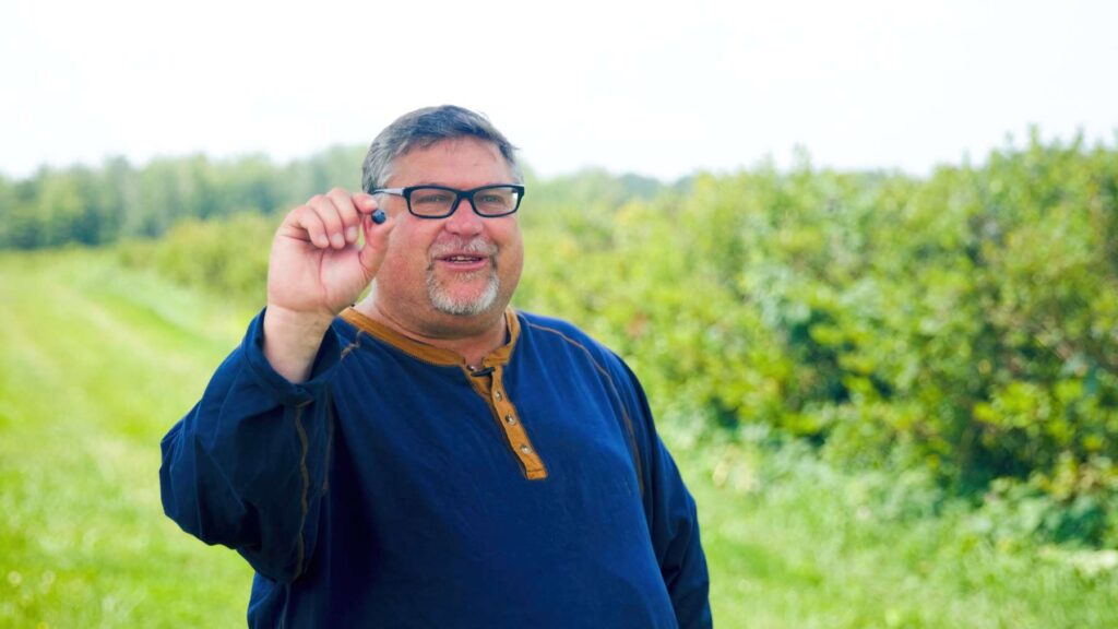 blueberry grower in field holding berry
