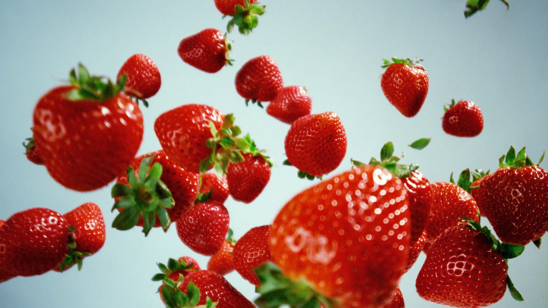 Strawberries | Naturipe Farms Fresh Berries