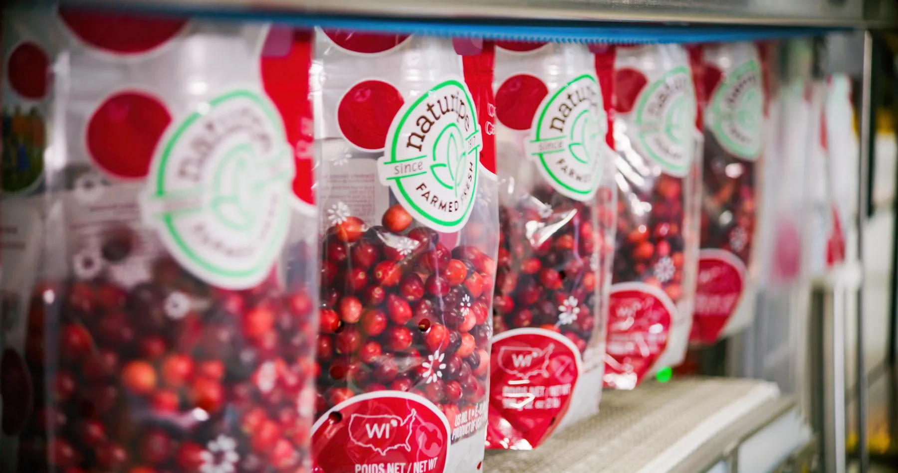 cranberries getting bagged up